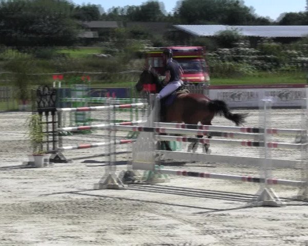 Reitturnier Schülp / Rendsburg 2018