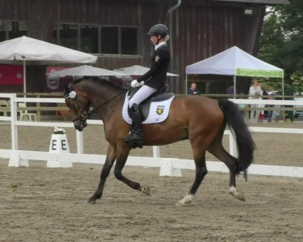 Reitturnier Pellheim-Gerblhof 2018