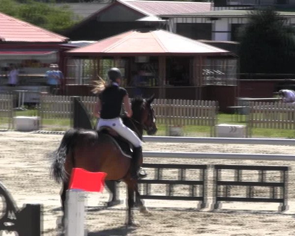 Reitturnier Schülp / Rendsburg 2018