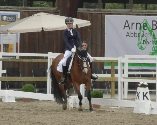 Reitturnier Pellheim-Gerblhof 2018