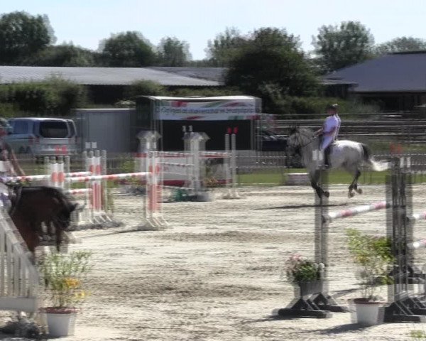 Reitturnier Schülp / Rendsburg 2018