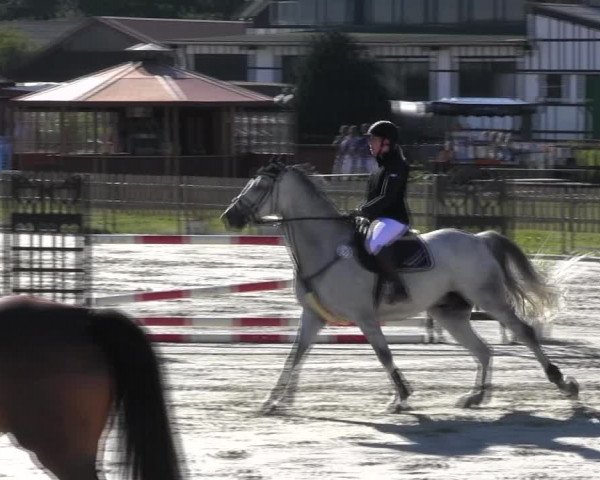 Reitturnier Schülp / Rendsburg 2018