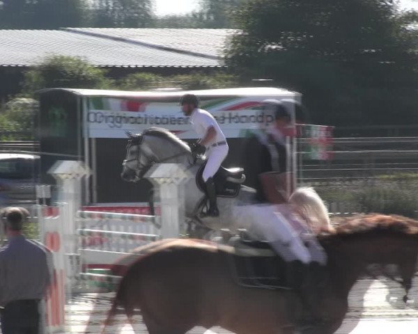 Reitturnier Schülp / Rendsburg 2018
