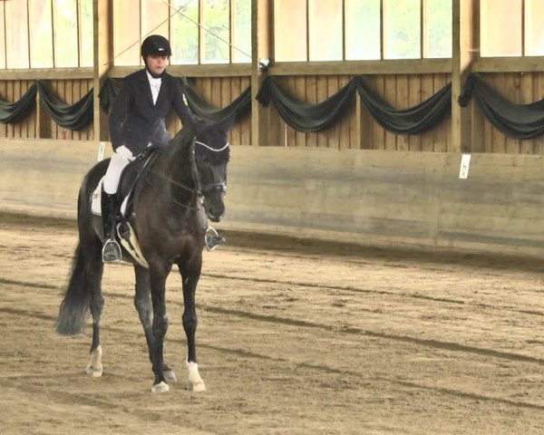 Reitturnier Pellheim-Gerblhof 2018