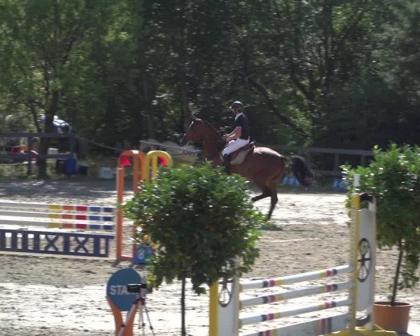 Reitturnier Kalenborn Hegehof 2018