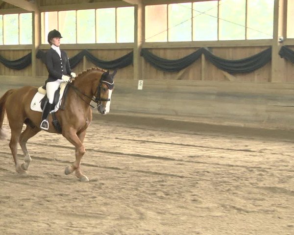 Reitturnier Pellheim-Gerblhof 2018