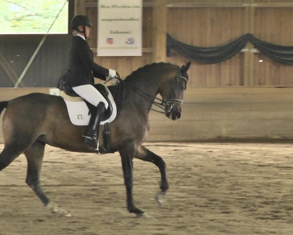 Reitturnier Pellheim-Gerblhof 2018