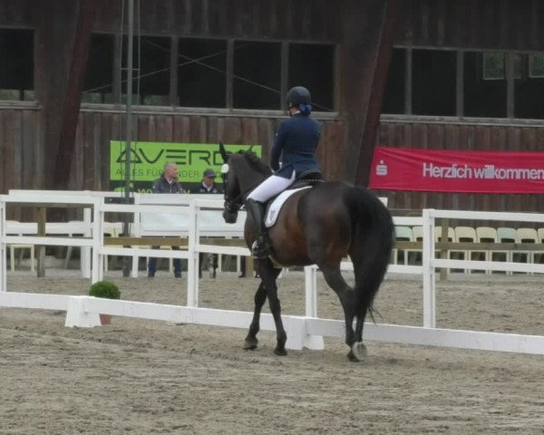 Reitturnier Pellheim-Gerblhof 2018