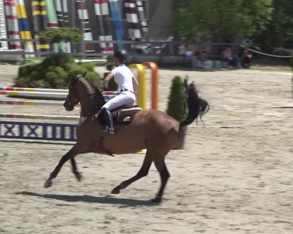 Reitturnier Kalenborn Hegehof 2018