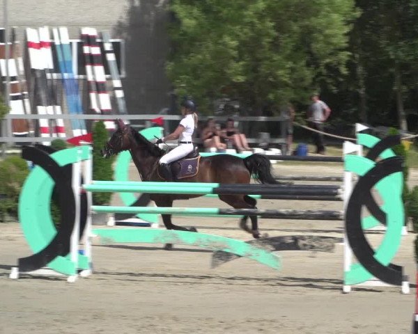 Reitturnier Kalenborn Hegehof 2018