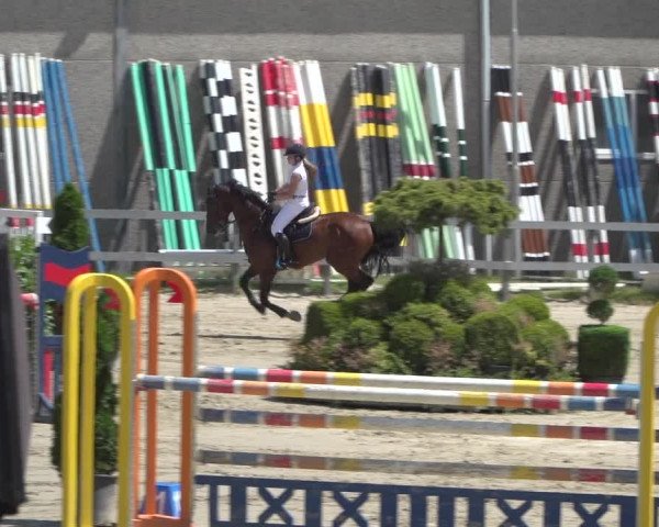 Reitturnier Kalenborn Hegehof 2018