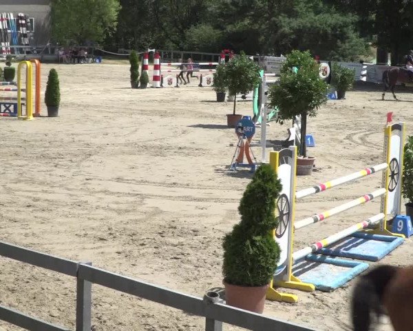 Reitturnier Kalenborn Hegehof 2018