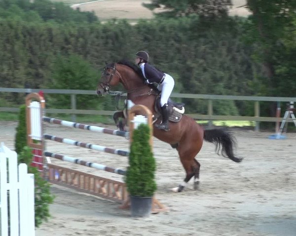 Reitturnier Kalenborn Hegehof 2018