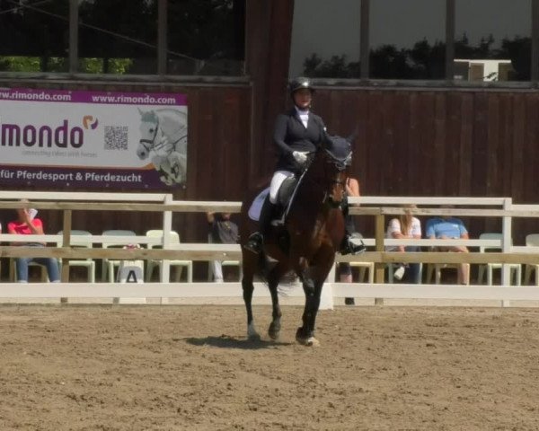 Reitturnier Pellheim-Gerblhof 2018