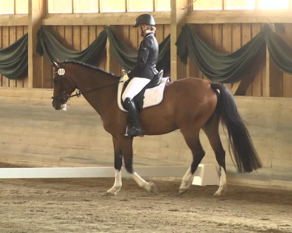 Reitturnier Pellheim-Gerblhof 2018