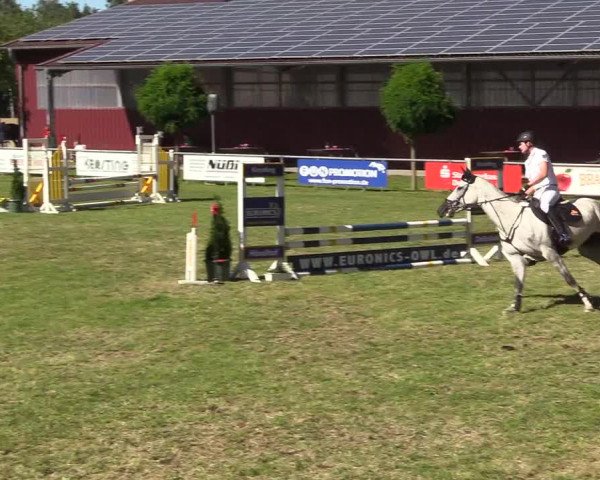Reitturnier Delbrück-Ostenland 2018