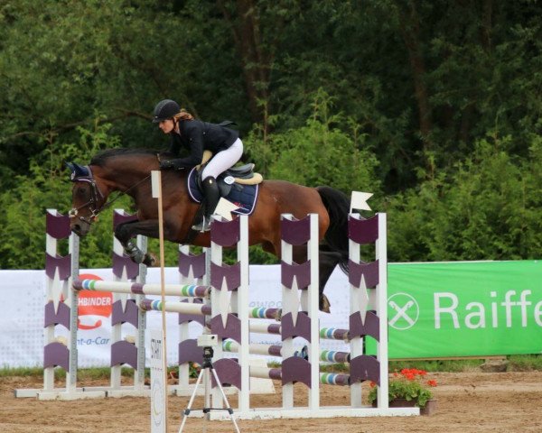 broodmare Wundertüte 7 (Zweibrücken, 2006, from Wolkenstürmer)