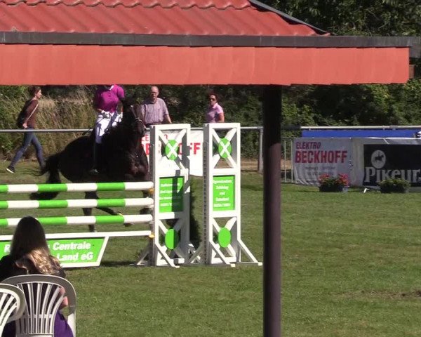 Reitturnier Delbrück-Ostenland 2018