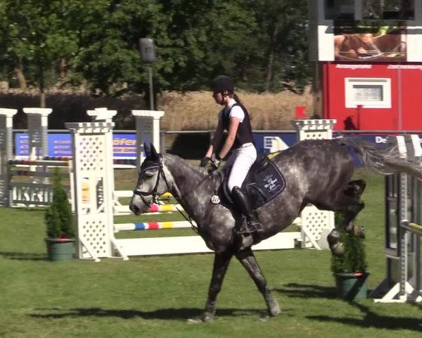 Reitturnier Delbrück-Ostenland 2018