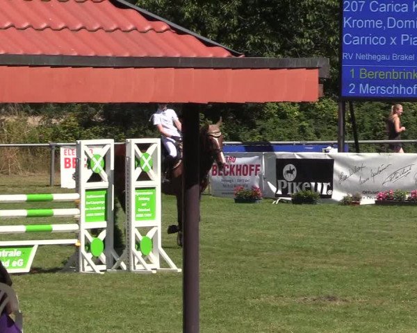 Reitturnier Delbrück-Ostenland 2018