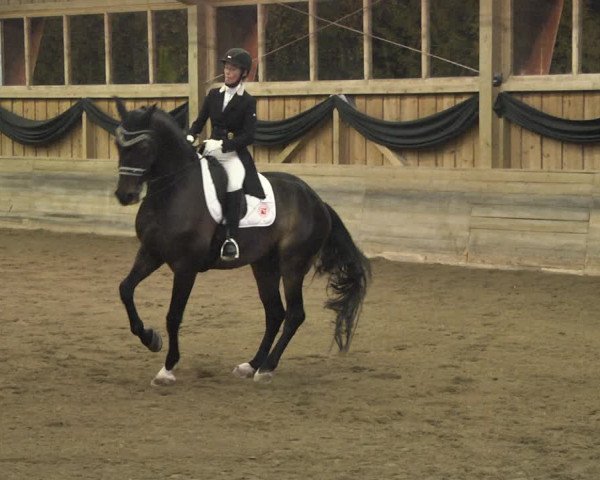 Reitturnier Pellheim-Gerblhof 2018