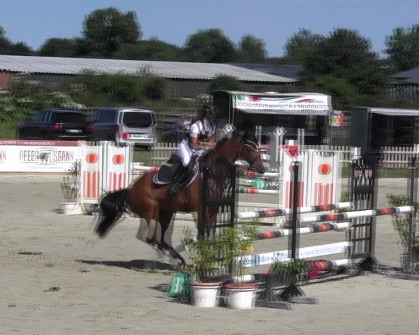 Reitturnier Schülp / Rendsburg 2018