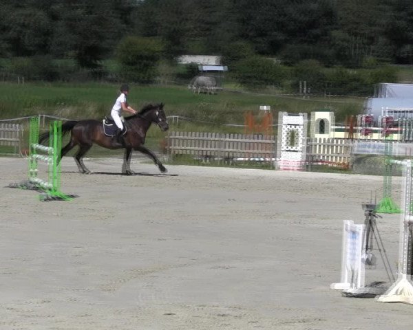 Reitturnier Schülp / Rendsburg 2018