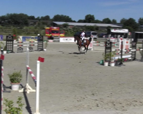 Reitturnier Schülp / Rendsburg 2018