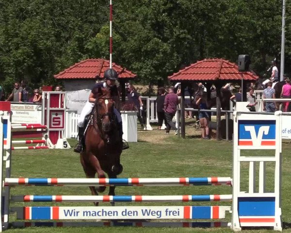 Reitturnier Delbrück-Ostenland 2018