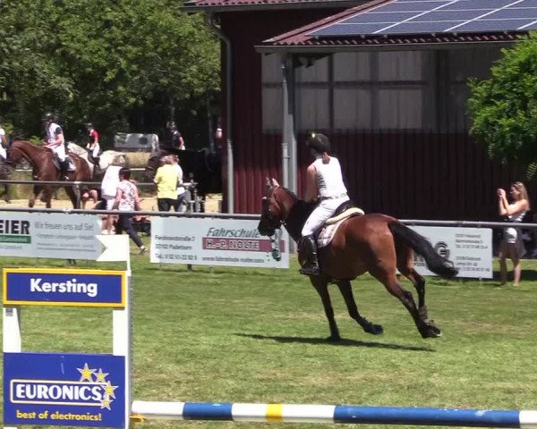 Reitturnier Delbrück-Ostenland 2018