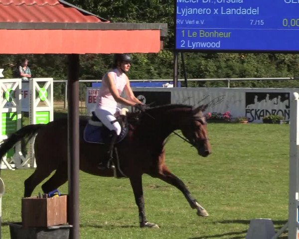 Reitturnier Delbrück-Ostenland 2018