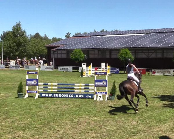 Reitturnier Delbrück-Ostenland 2018
