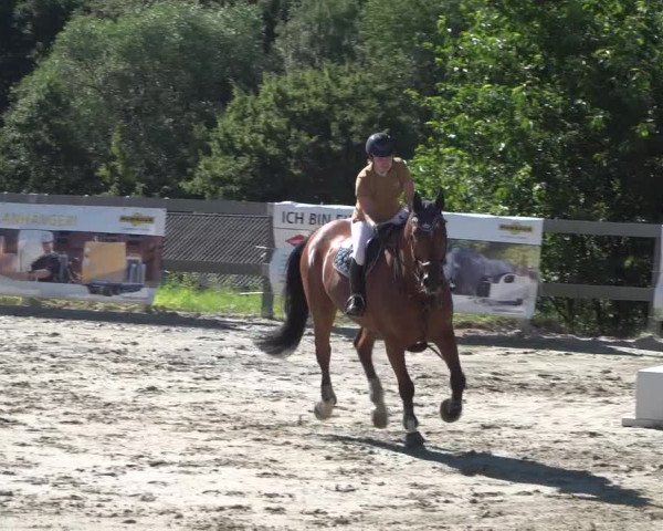 Reitturnier Kalenborn Hegehof 2018