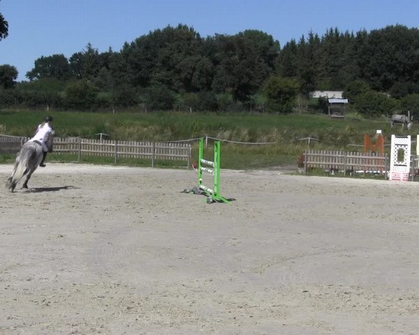 Reitturnier Schülp / Rendsburg 2018