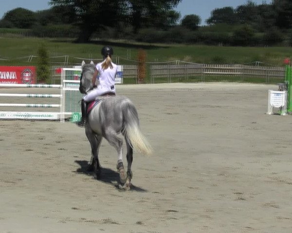 Reitturnier Schülp / Rendsburg 2018