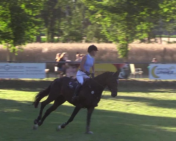 Reitturnier Delbrück-Ostenland 2018