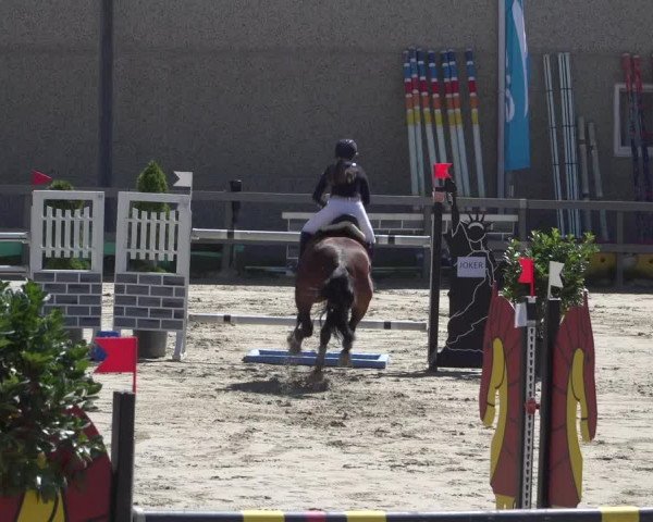 Reitturnier Kalenborn Hegehof 2018