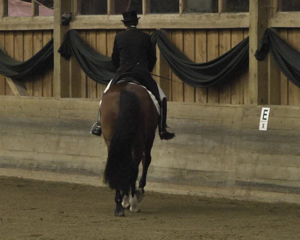 Reitturnier Pellheim-Gerblhof 2018