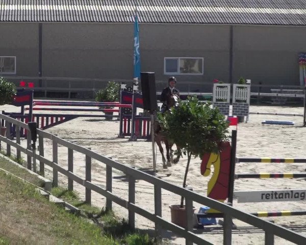 Reitturnier Kalenborn Hegehof 2018