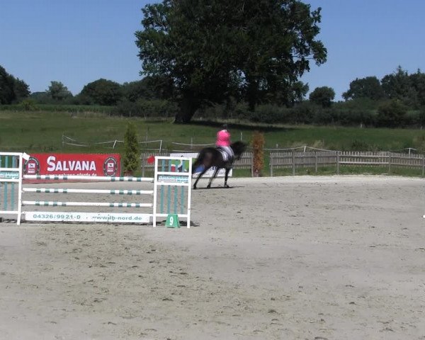 Reitturnier Schülp / Rendsburg 2018