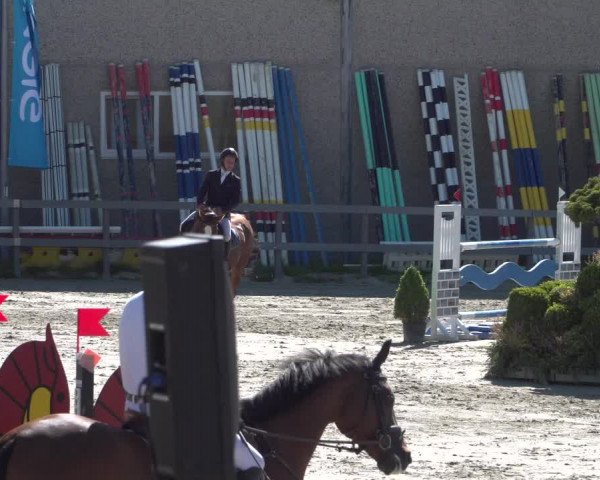 Reitturnier Kalenborn Hegehof 2018