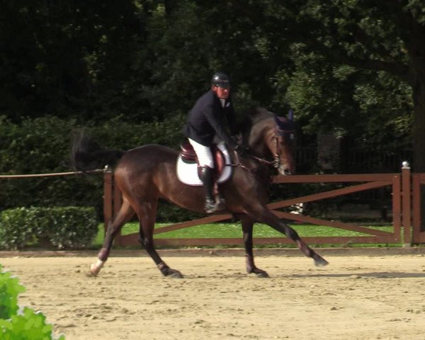 Equus Colonius - Reitanlage Brüse Köln 2021