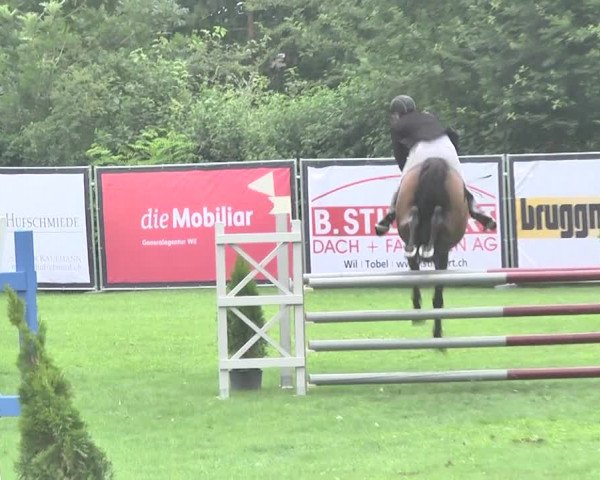 Reitturnier Wil 2018