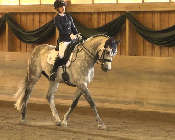 Reitturnier Pellheim-Gerblhof 2018