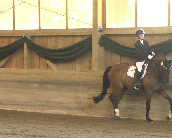 Reitturnier Pellheim-Gerblhof 2018