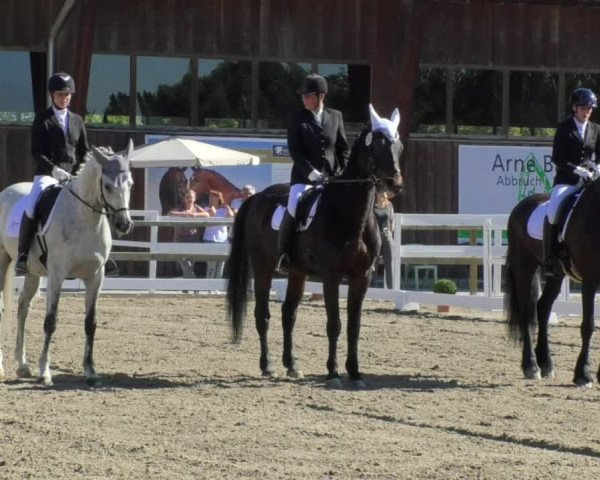 Reitturnier Pellheim-Gerblhof 2018