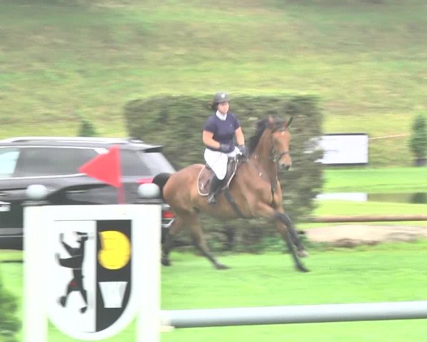 Reitturnier Wil 2018