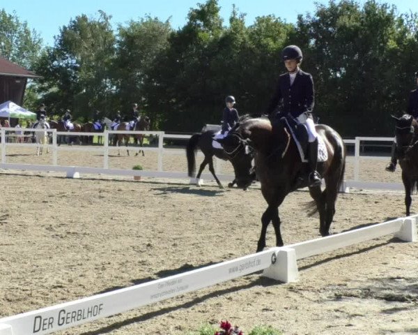 Reitturnier Pellheim-Gerblhof 2018