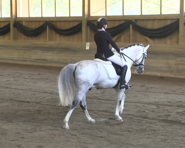 Reitturnier Pellheim-Gerblhof 2018