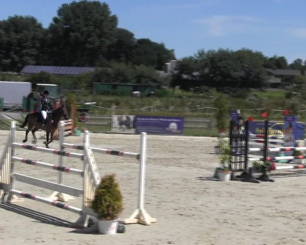 Reitturnier Schülp / Rendsburg 2018